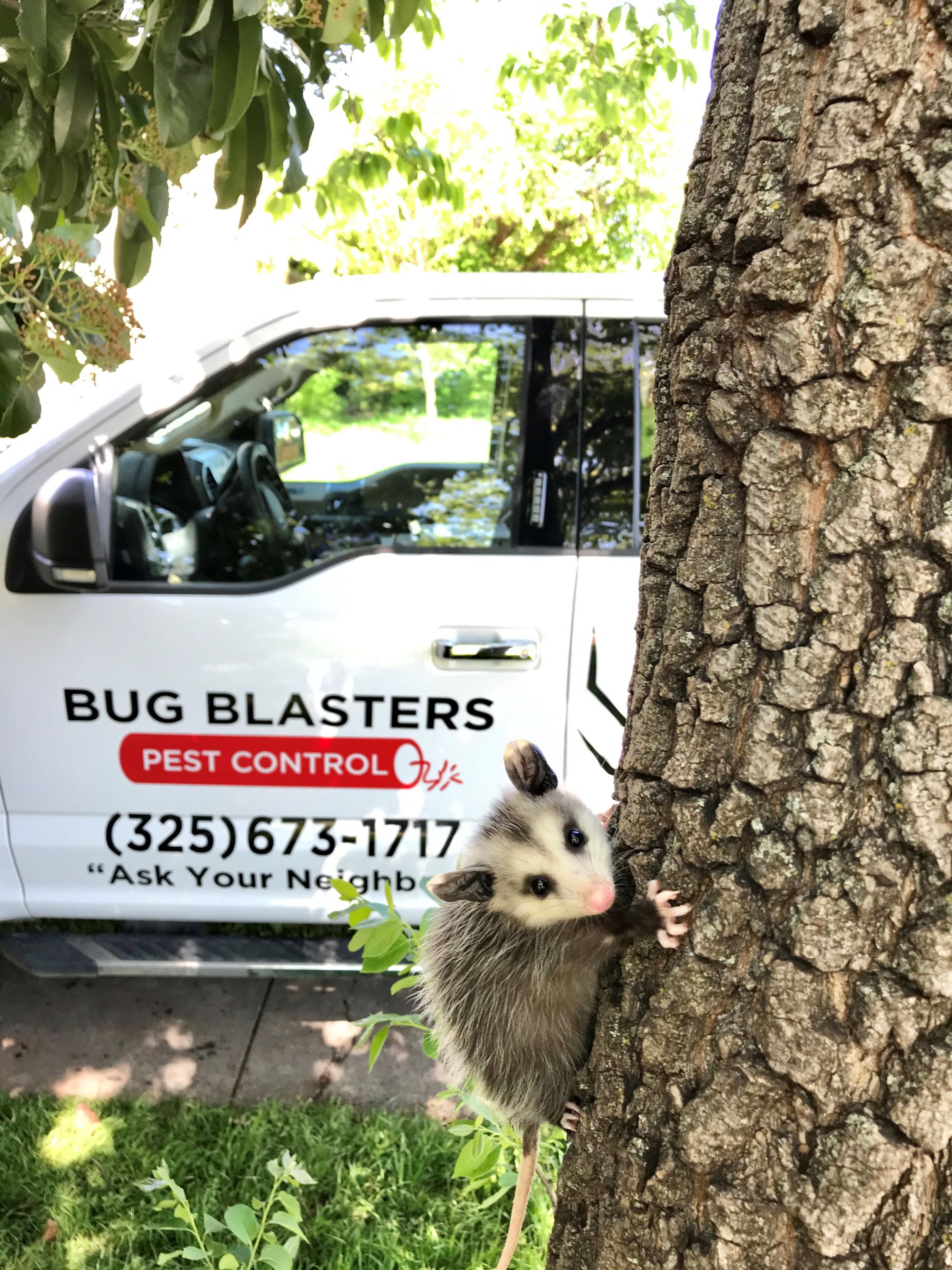 exterminator service truck in abilene tx