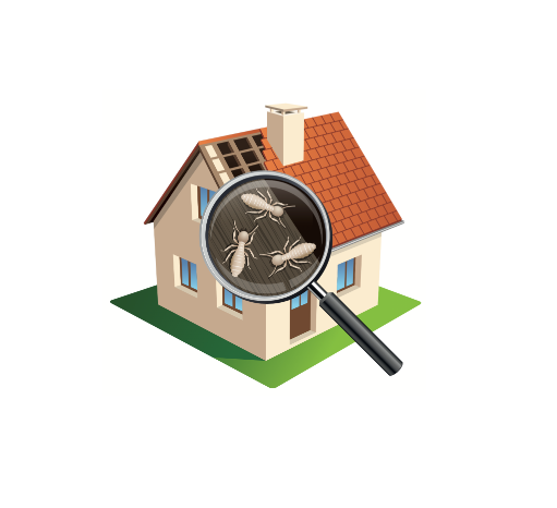 icon image of home -termite control